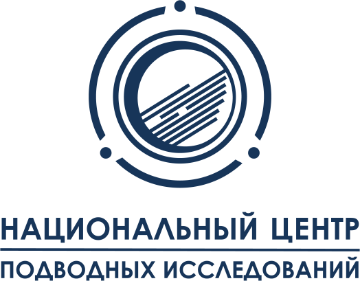 Логотип - НЦПИ